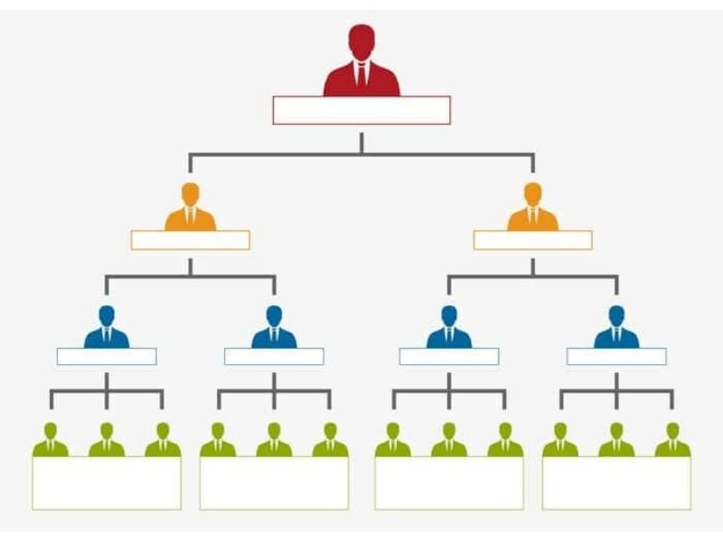 Cơ cấu tổ chức